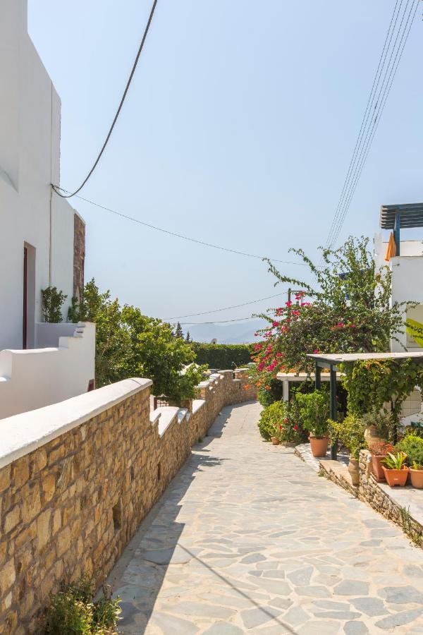 Golden Coast Naxos Aparthotel Ájosz Prokópiosz Kültér fotó